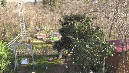 Fındık bahçesini kafeye dönüştürerek hayalini gerçekleştirdi