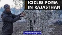 Watch: Icicles form on trees in Rajasthan as temperature drops below 0 | Oneindia NewsI