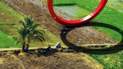 ...في أغسطس بعدما دعا الملك محمد السادس الى...