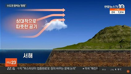 "소나기처럼 쏟아진 눈"…수도권 올겨울 첫 폭설