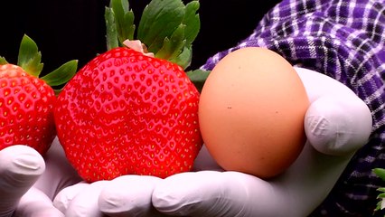 [강소농] 달걀보다 큰 '아리향' 딸기...한 알 5천원에도 수출 인기 / YTN