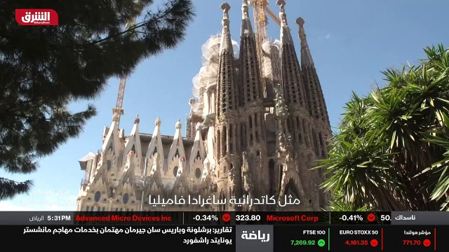 ...النباتات والحيوانات...