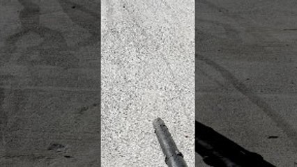 Rat Runs from Leaf Blower