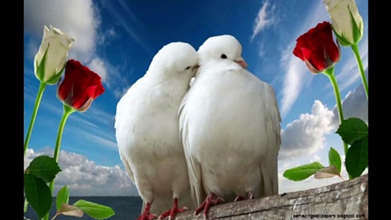 Let Your Love Glow Dr. Robert Ownby