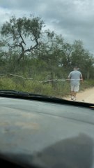 Mail Carrier Rescues Spike Deer Caught in Fence