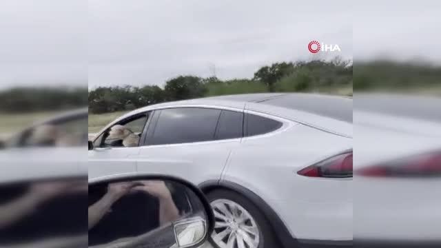 Hareket halindeki Tesla'nın sürücü koltuğundaki köpek gündem oldu