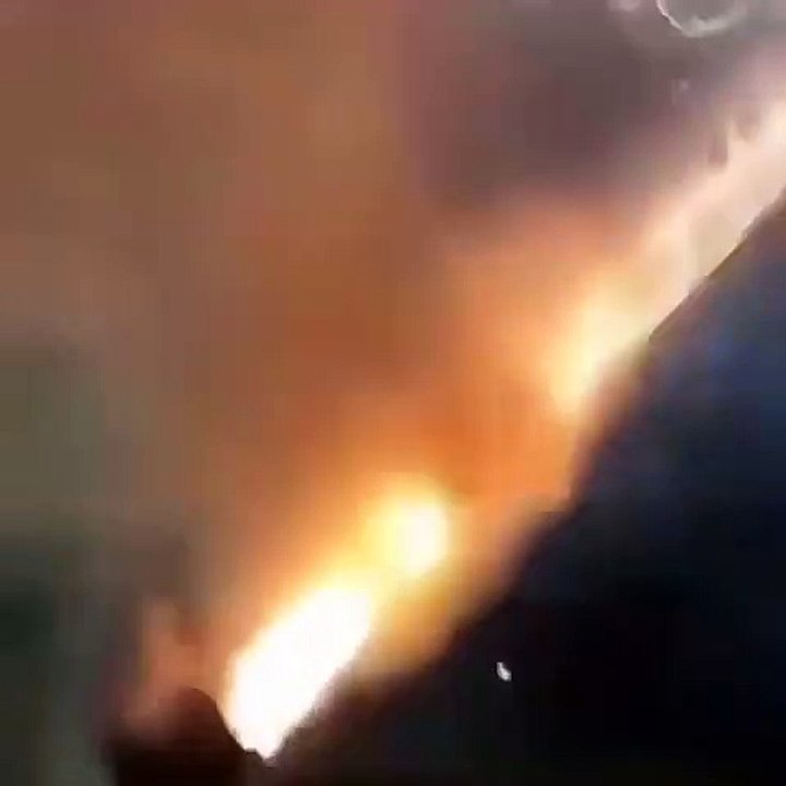 Asado de Paloma