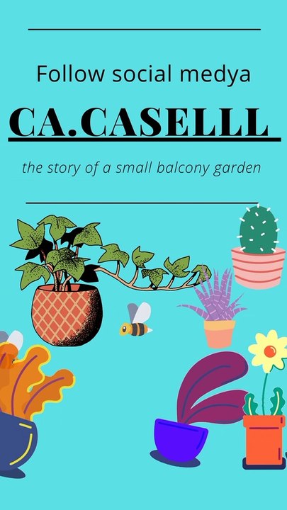 Ca.caselll