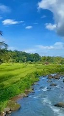 Relaxing music for sleep meditation_free copyright