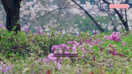 [INDO SUB] BTS World - Jung Hoseok Story "Veterinay"