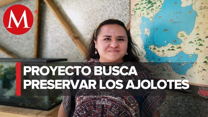 "La Axolote del billete de 50 pesos es nuestra" , Pamela Villanueva fundadora de Axolotitlán