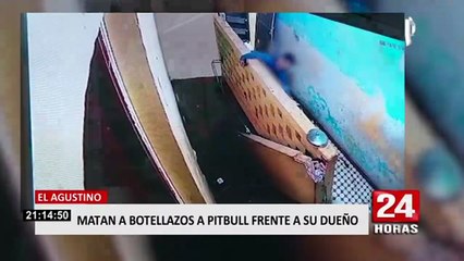 El Agustino: denuncian a tres vecinos por matar a botellazos y cuchillazos a perro pitbull