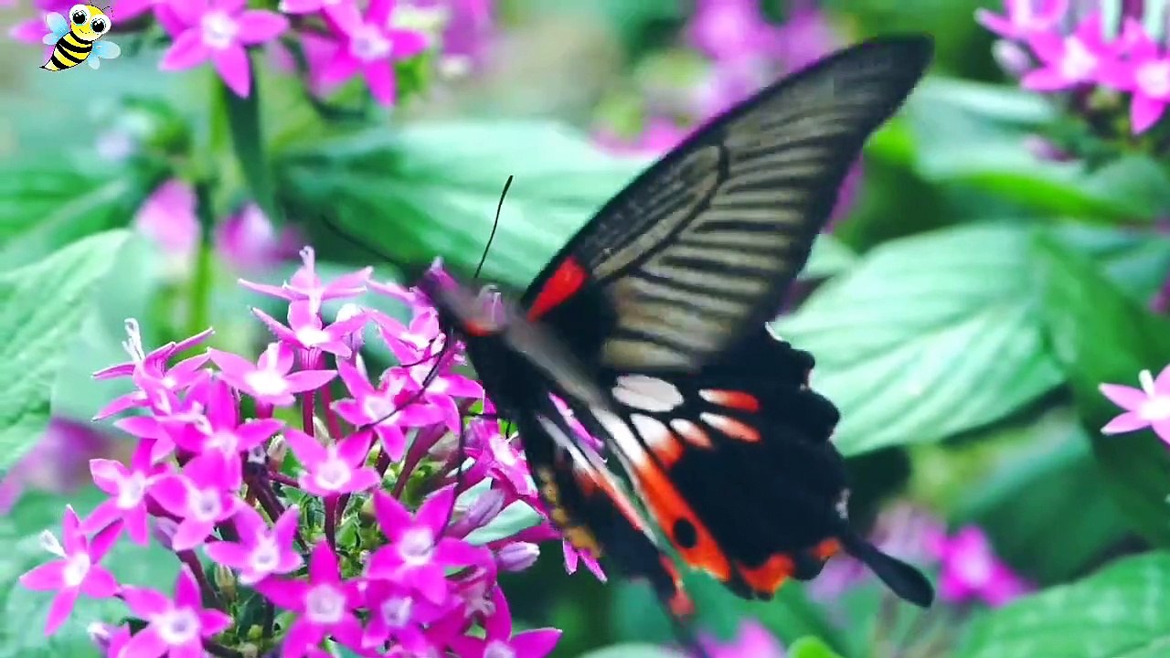 The most beautiful music. piano. Relaxation, meditation and deep sleep