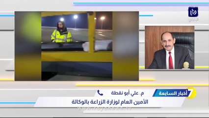 الزراعة توضح لـ"رؤيا" حقيقة أسعار الخراف المستوردة من جورجيا