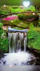 Beautiful sences- beauty of nature