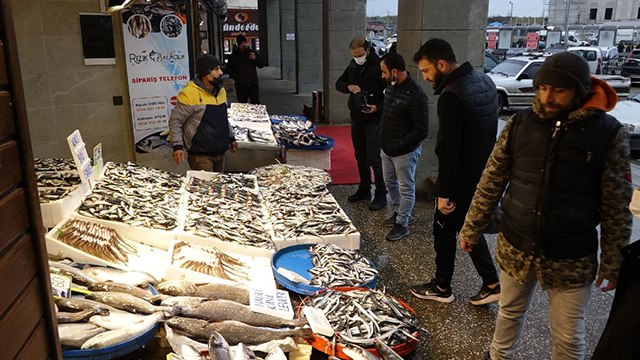 Hamsi avcılığı dibe vurdu, fiyatı 6 kat arttı