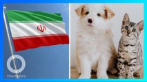 Pemerintah Iran Bisa Larang Warganya Pelihara Hewan