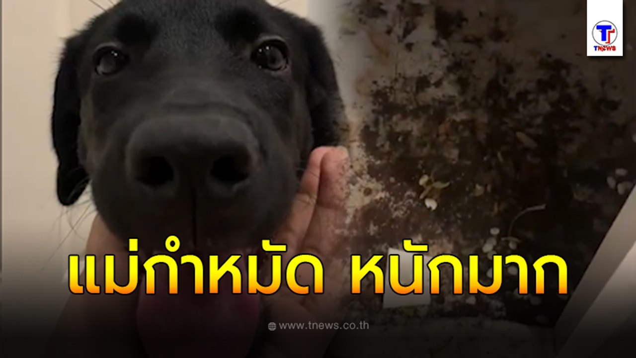แม่กำหมัด หนักมาก มะลิเจ้าเก่า เจ้าเดิมเองจ้า มารอบนี้ทำแม่กำหมัดหนักมาก รอ