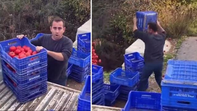 Domates tarladan 1 liraya çıkıyor, markette 8 lira diyen çiftçi kasa kasa domatesini dereye döktü