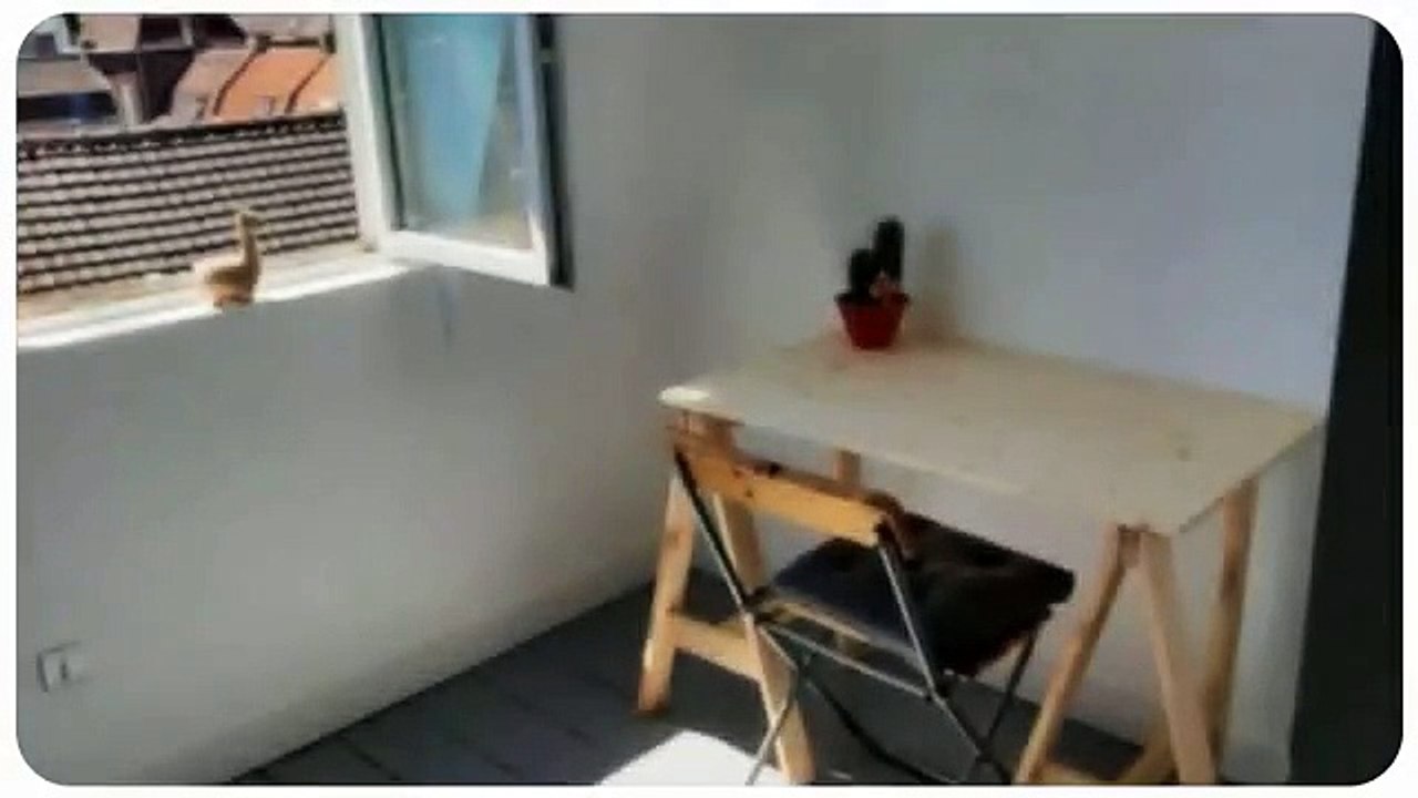 A louer - Maison/villa - ROUBAIX (59100) - 5 pièces - 90m²