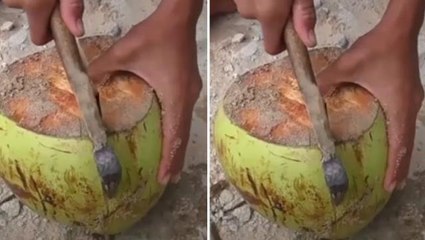 Hindistan cevizini açan adam, karşısındaki manzaraya anlam veremedi: Nasıl girmişler içeri?