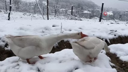 Bartın'da yüksek kesimlerde kar yağışı