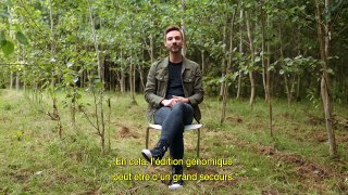 la réponse à presque tout - Pouvons-nous sauver les arbres