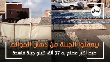 ضبط أكبر مصنع به 37 ألف كيلو جبنة فاسدة.. بيعملها من دهان الحوائط وبينضفوها بفرشة حمام