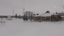 Bitlis ve Van'da kar yağışı