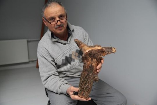 Ağaç kökleri emekli işçinin elinde sanata dönüşüyor