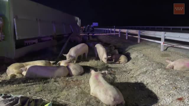 Fallece el conductor de un camión de 41 años al perder el control y volcar en la A3 en Madrid