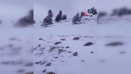 Adana'nın kuzeyi kara teslim oldu