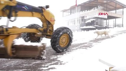 KONYAALTI BELEDİYESİ KARLI YOLLARI AÇIYOR