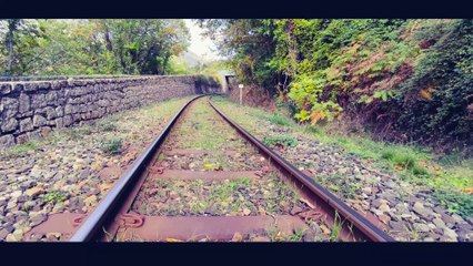 Para os braços da minha mãe