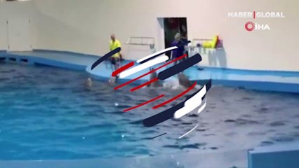 Komutlara uymayan yunusa sopayla vurdu! Görüntülere tepki yağdı