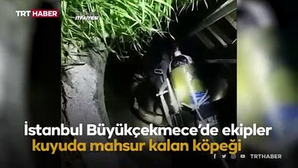 Kuyuda mahsur kalan köpeği itfaiye kurtardı