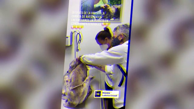 UN POCO DEL TRABAJO COMO DIPUTADA DE FEDERICA QUIJANO DEL GRUPO KABAH