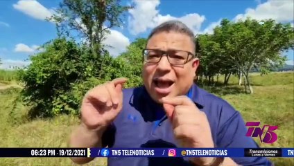 TN5 Dominical - 19 de Diciembre