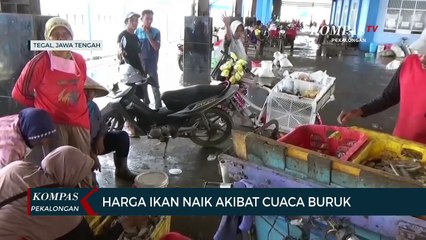 Akibat Cuaca Buruk, Harga Ikan Naik