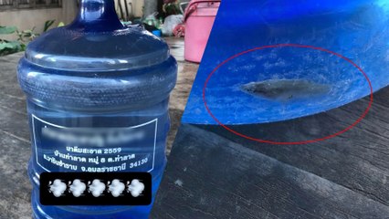 โซเชียลแห่แซว "น้ำดื่มสุดธรรมชาติ" เจอ "ปลาน้อย" ว่ายอยู่ก้นถัง