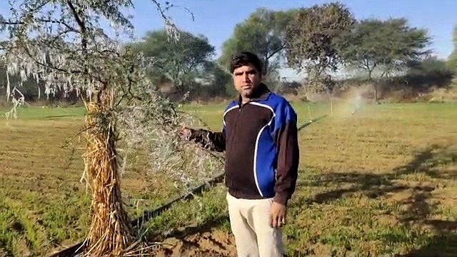 बर्फीली हवाओं से शेखावाटी में फिर जमी बर्फ, फतेहपुर में लगातार चौथे दिन माइनस में दर्ज हुआ तापमान