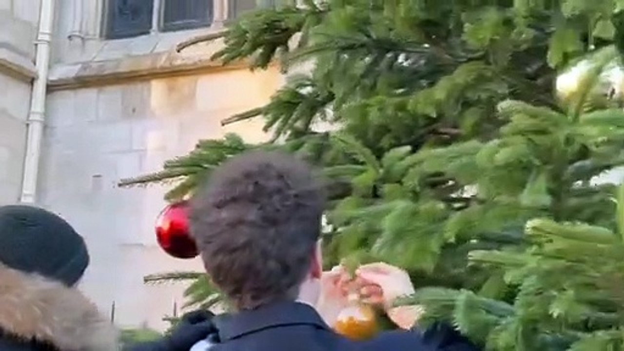 Face au sapin de Noël en verre du Maire écolo de Bordeaux, Génération Z installe un vrai sapin - La Mairie riposte et annonce que le conifère va être retiré