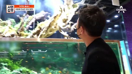 [선공개] 판매가 5억! 압도적인 어항이 반겨주는 수족관 카페!