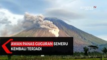 Awan Panas Guguran Semeru Kembali Terjadi