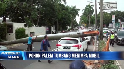 Pohon Setinggi 30 Meter Tumbang dan Menimpa Mobil Dijalan Metro Pondok Indah, Jakarta Selatan