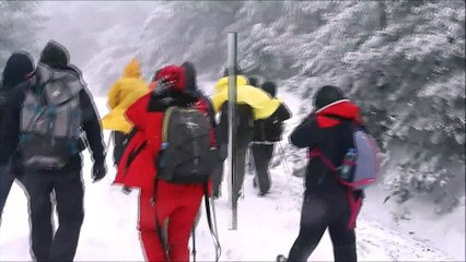 Beşpınar Spil Parkuru_D