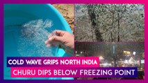 Cold Wave Grips North India, Churu Dips Below Freezing Point