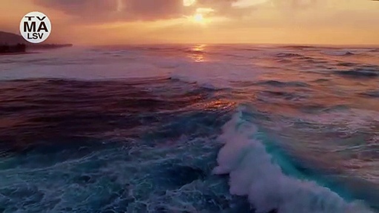 Animal Kingdom (2016) Saison 4 - Teaser (EN)