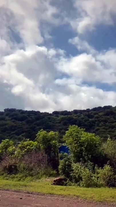 beautiful nature