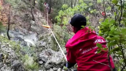 Doğa sever tır sürücüsünden geriye ayı beslerken çektiği görüntüler kaldı